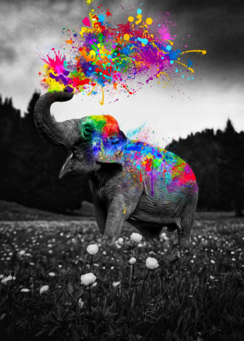 Background Elephant Wallpaper