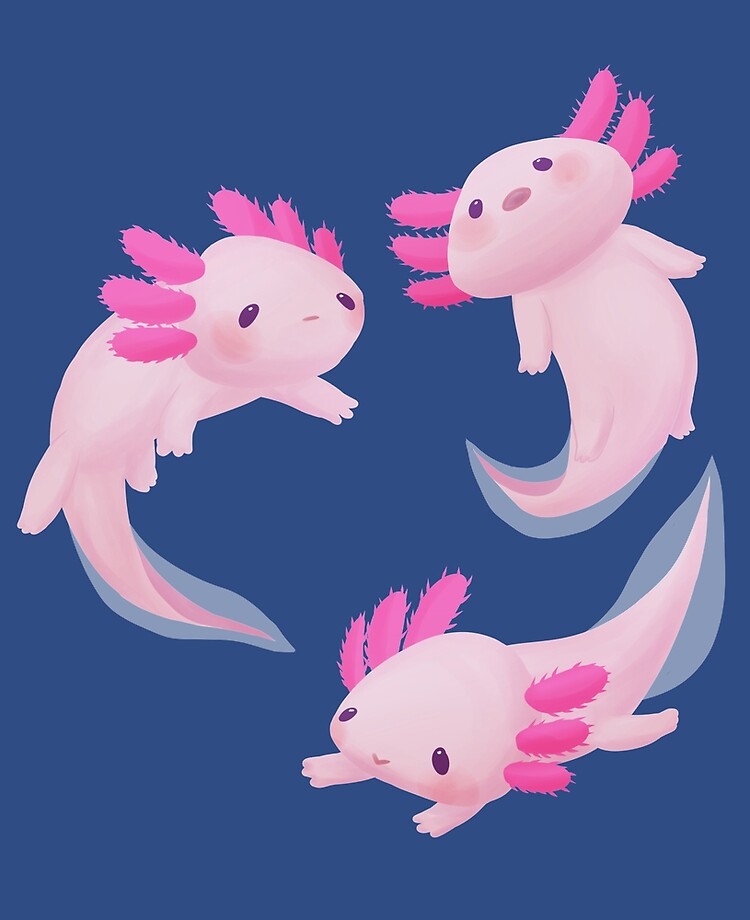 Background Axolotl Wallpaper