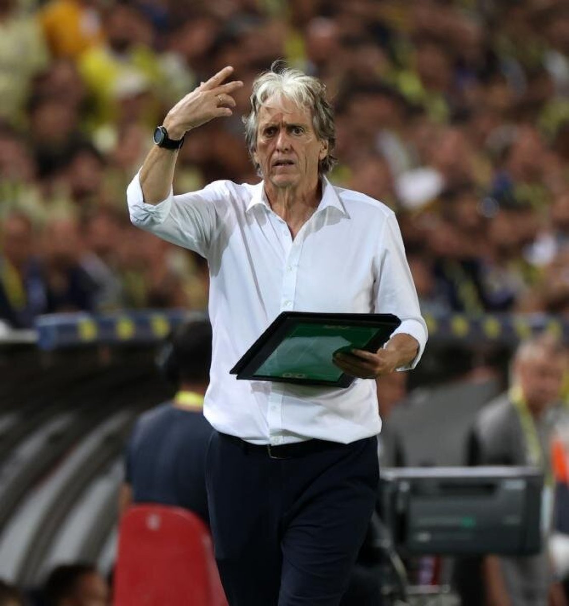 Background Jorge Jesus Wallpaper