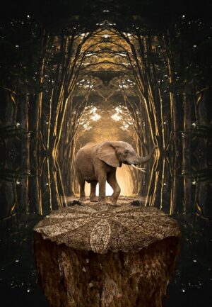 Background Elephant Wallpaper