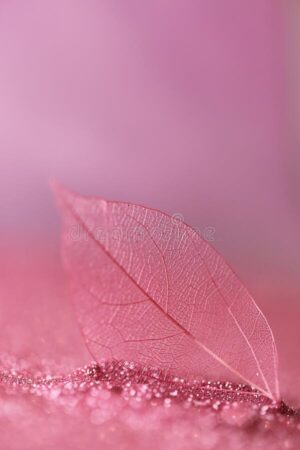 Pink Background Wallpaper