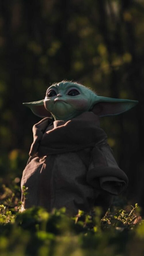 Background Baby Yoda Wallpaper