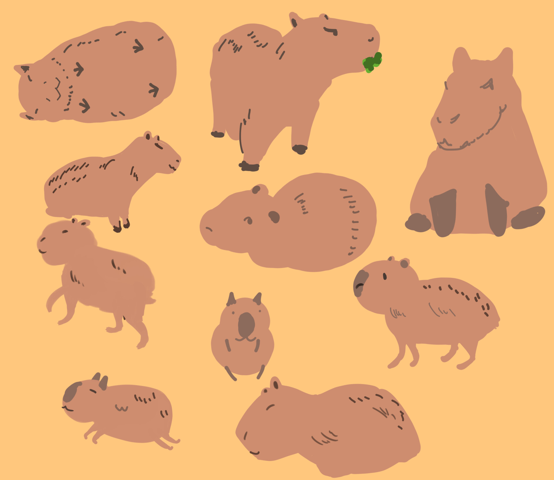 Background Capybara Wallpaper