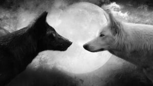 Wolf Desktop Wallpaper