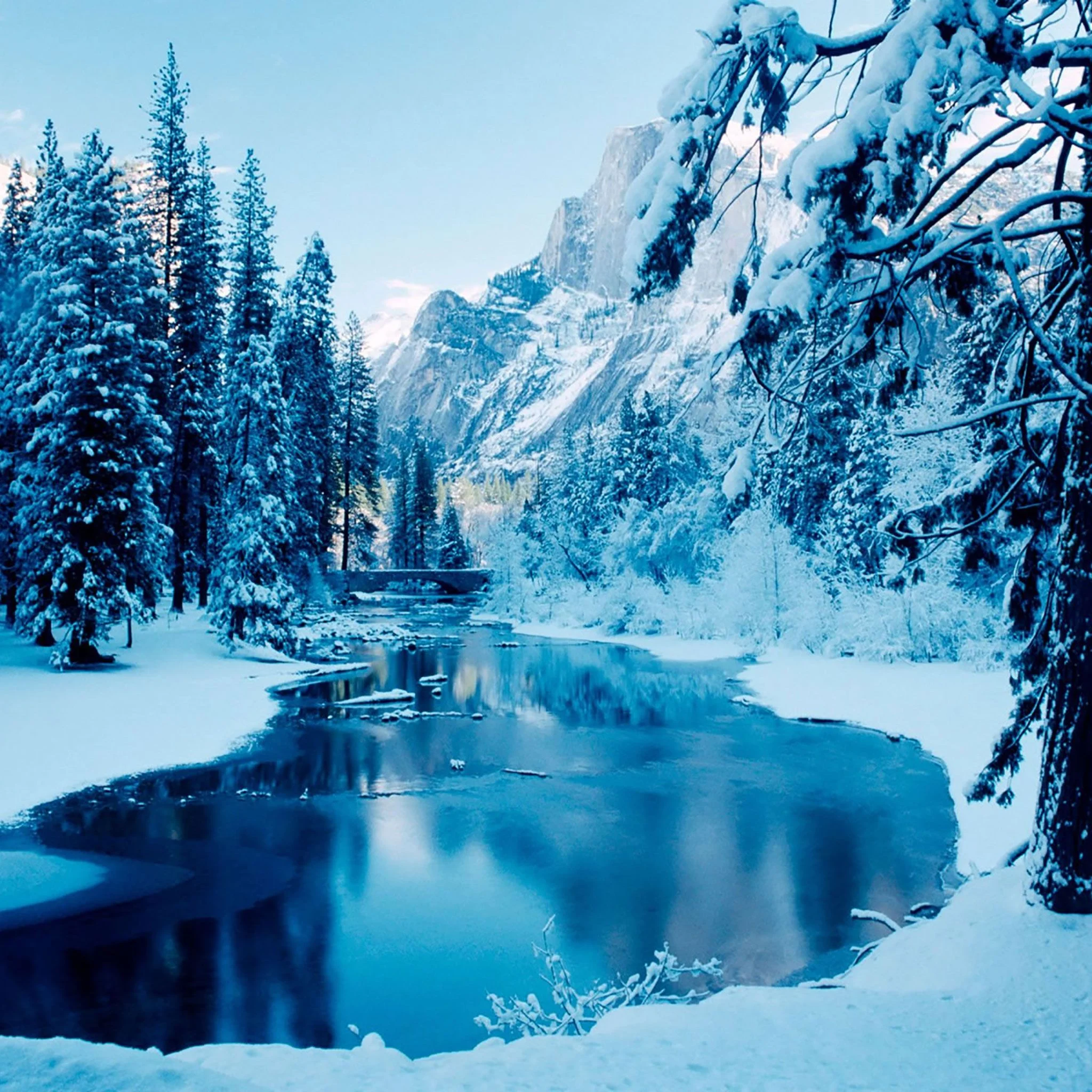 Winter Desktop Wallpaper