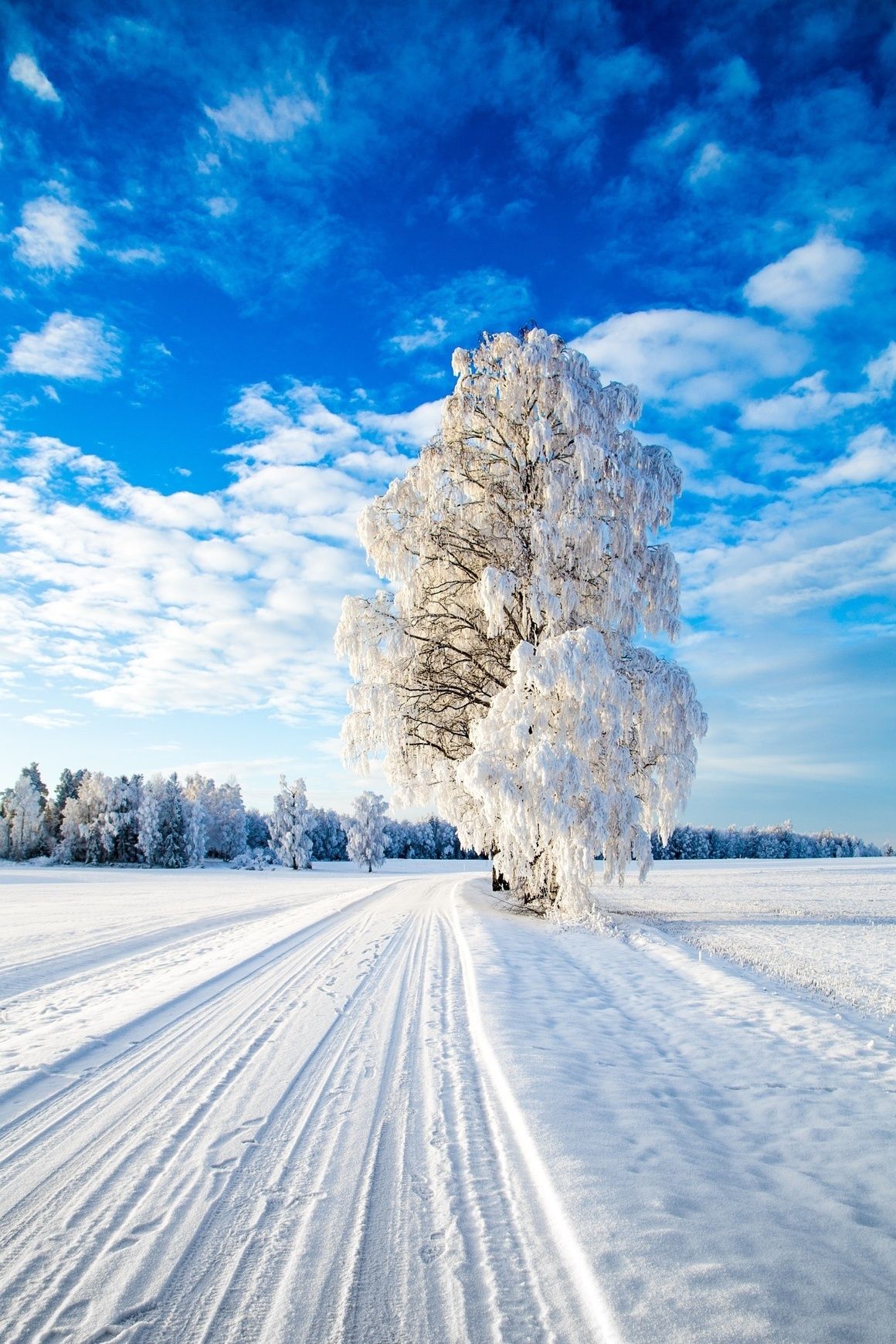 Зимнее снежное день