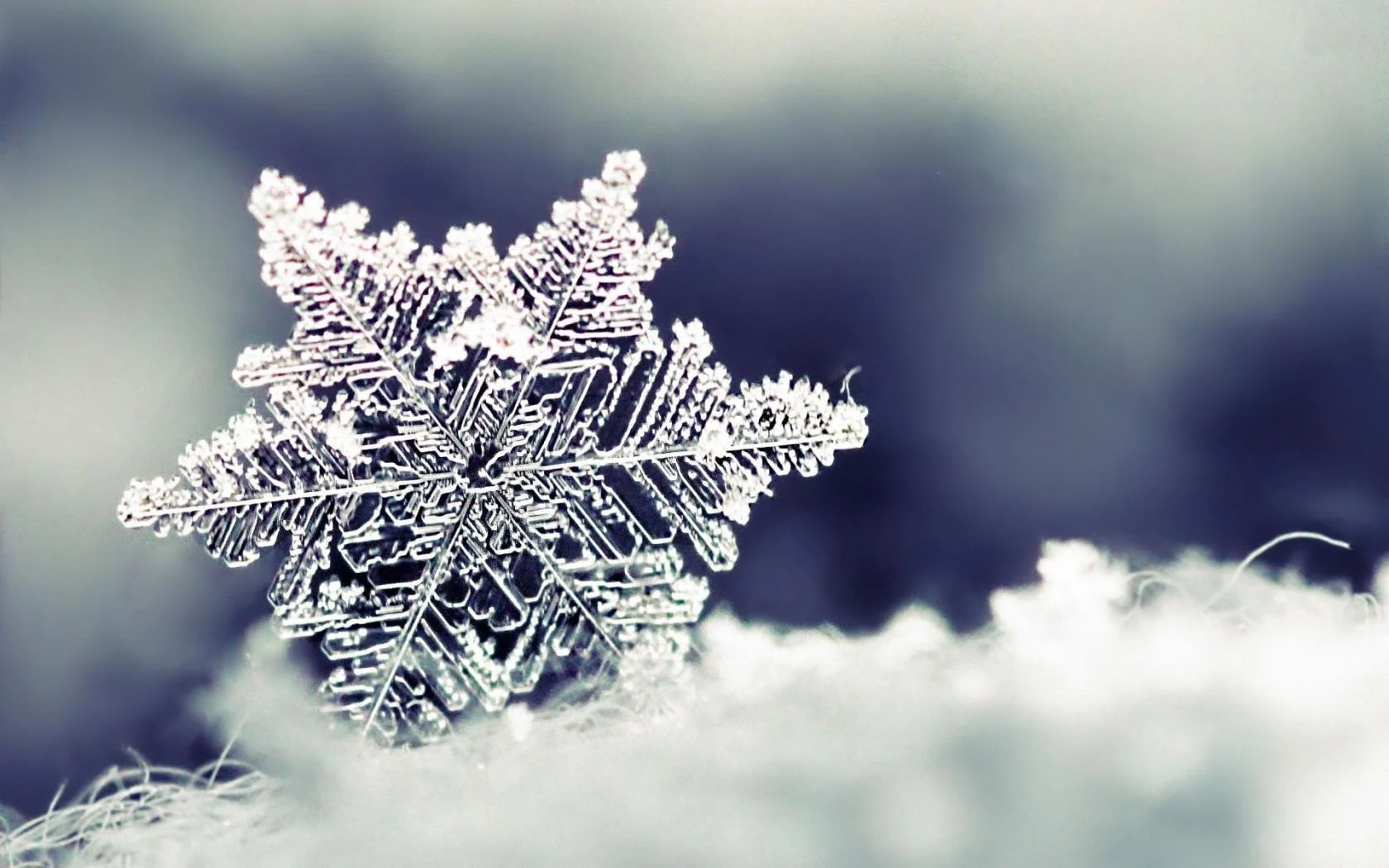 Snowflake Desktop Wallpaper