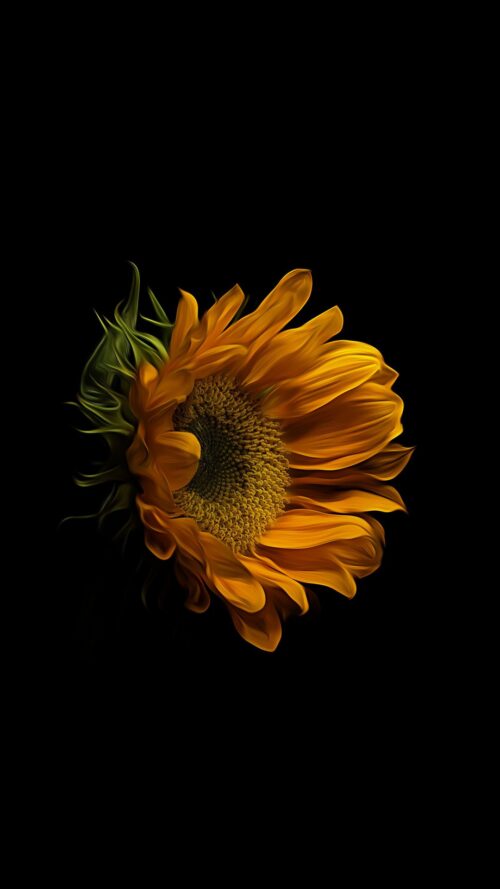 Background Sunflower Wallpaper