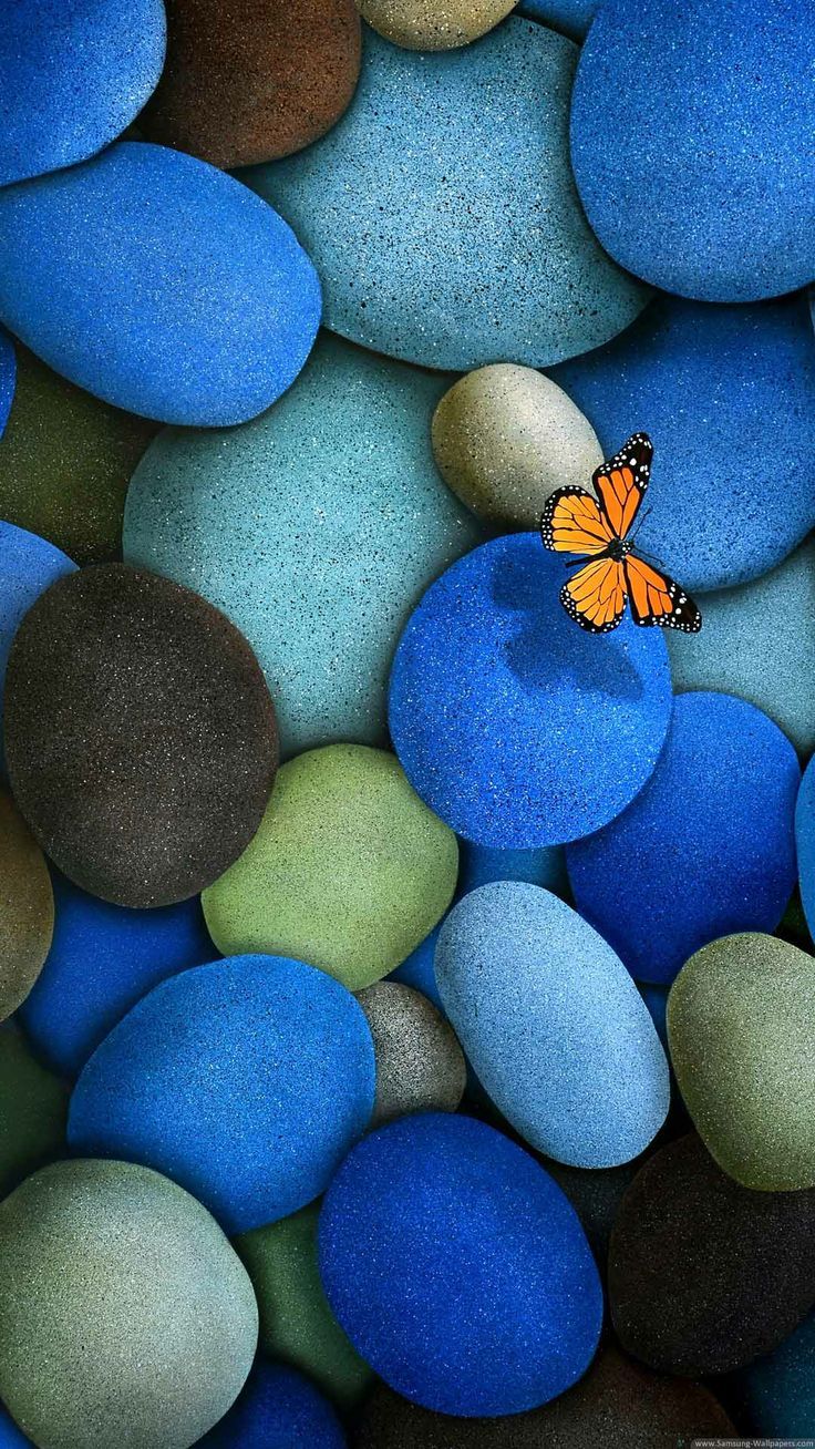 Background Butterfly Wallpaper