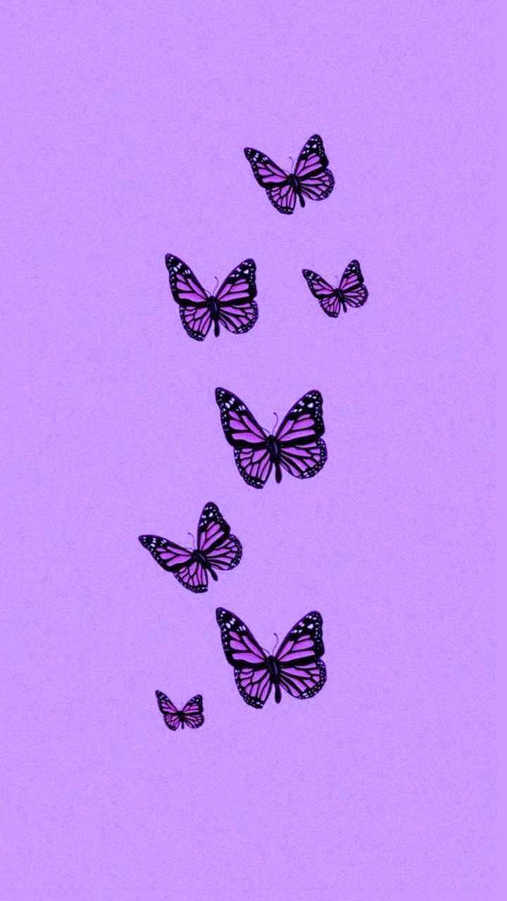 Background Butterfly Wallpaper