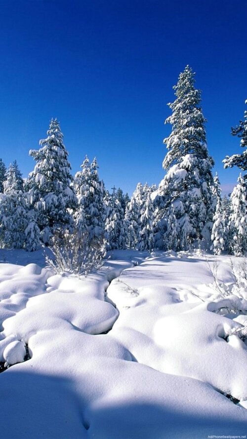 Background Winter Wallpaper