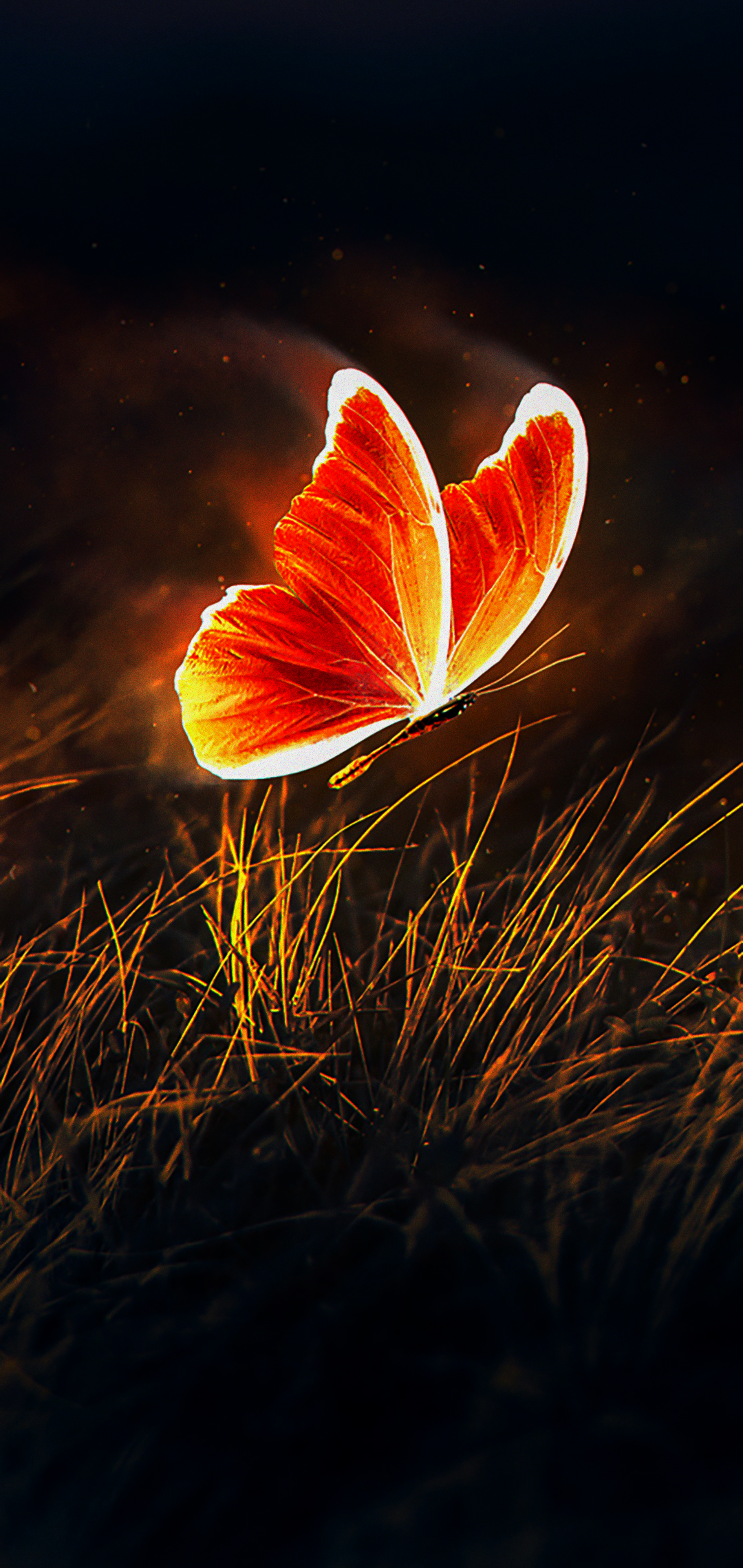 Background Butterfly Wallpaper