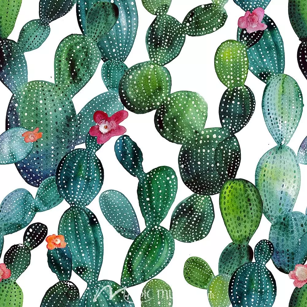 Background Cactus Wallpaper