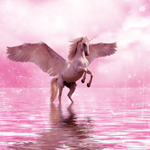 Background Unicorn Wallpaper