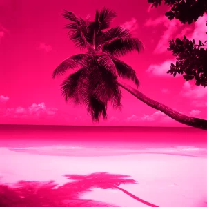 Background Hot Pink Wallpaper