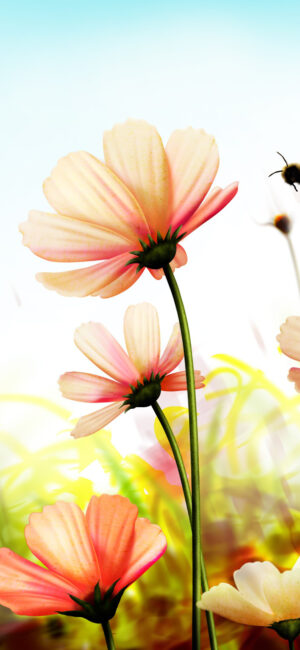 Background Spring Wallpaper