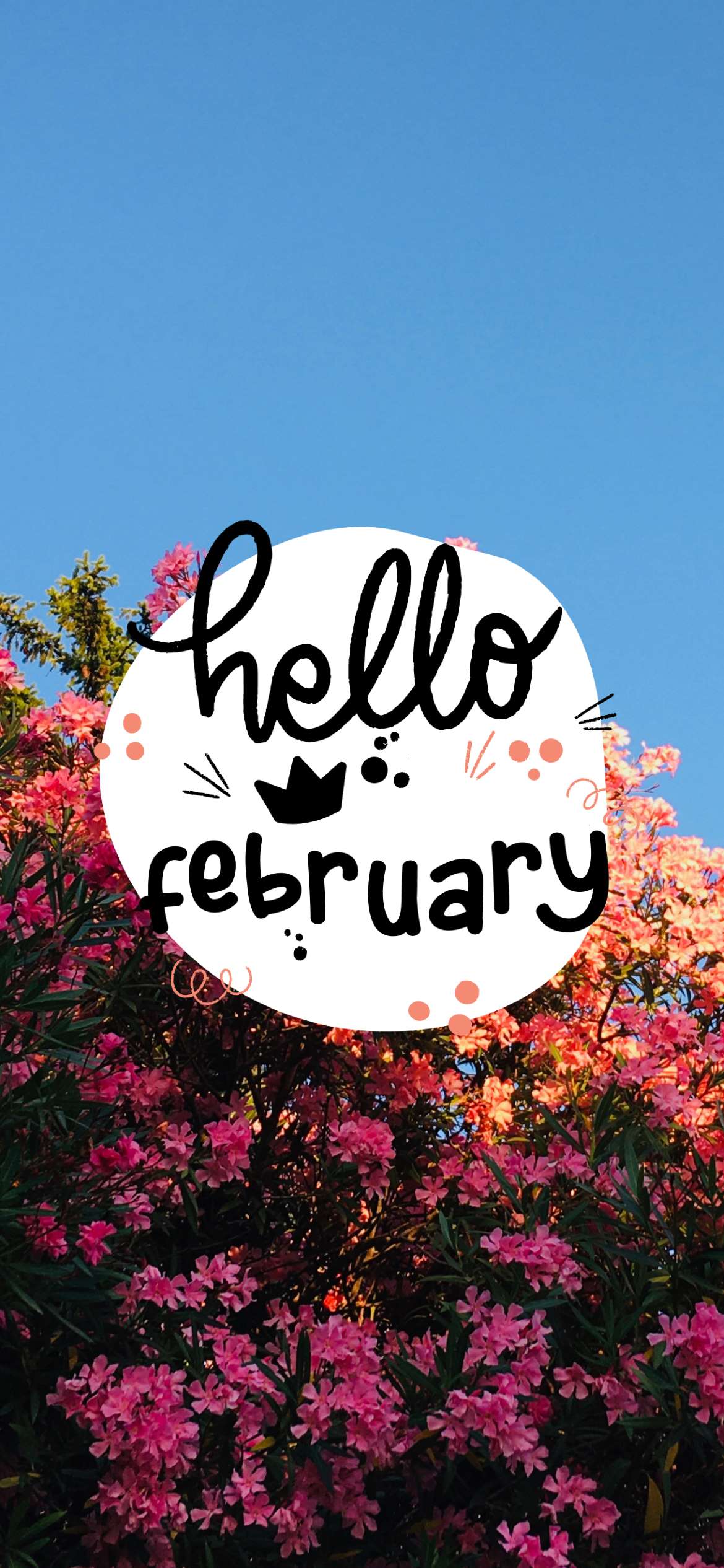 Background February 2023 Calendar Wallpaper