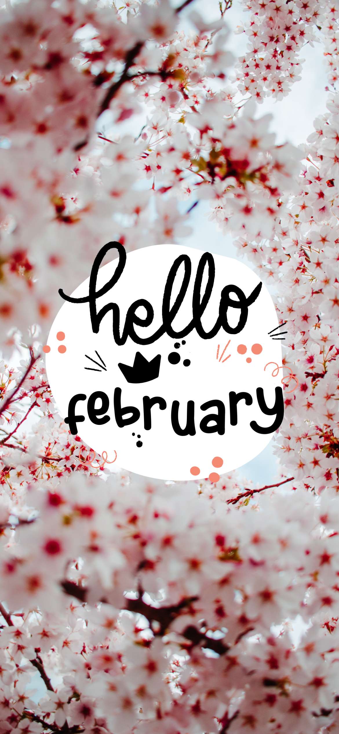 Background February Wallpaper