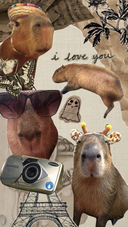 Background Capybara Wallpaper