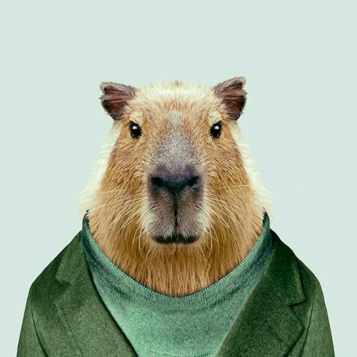 Background Capybara Wallpaper