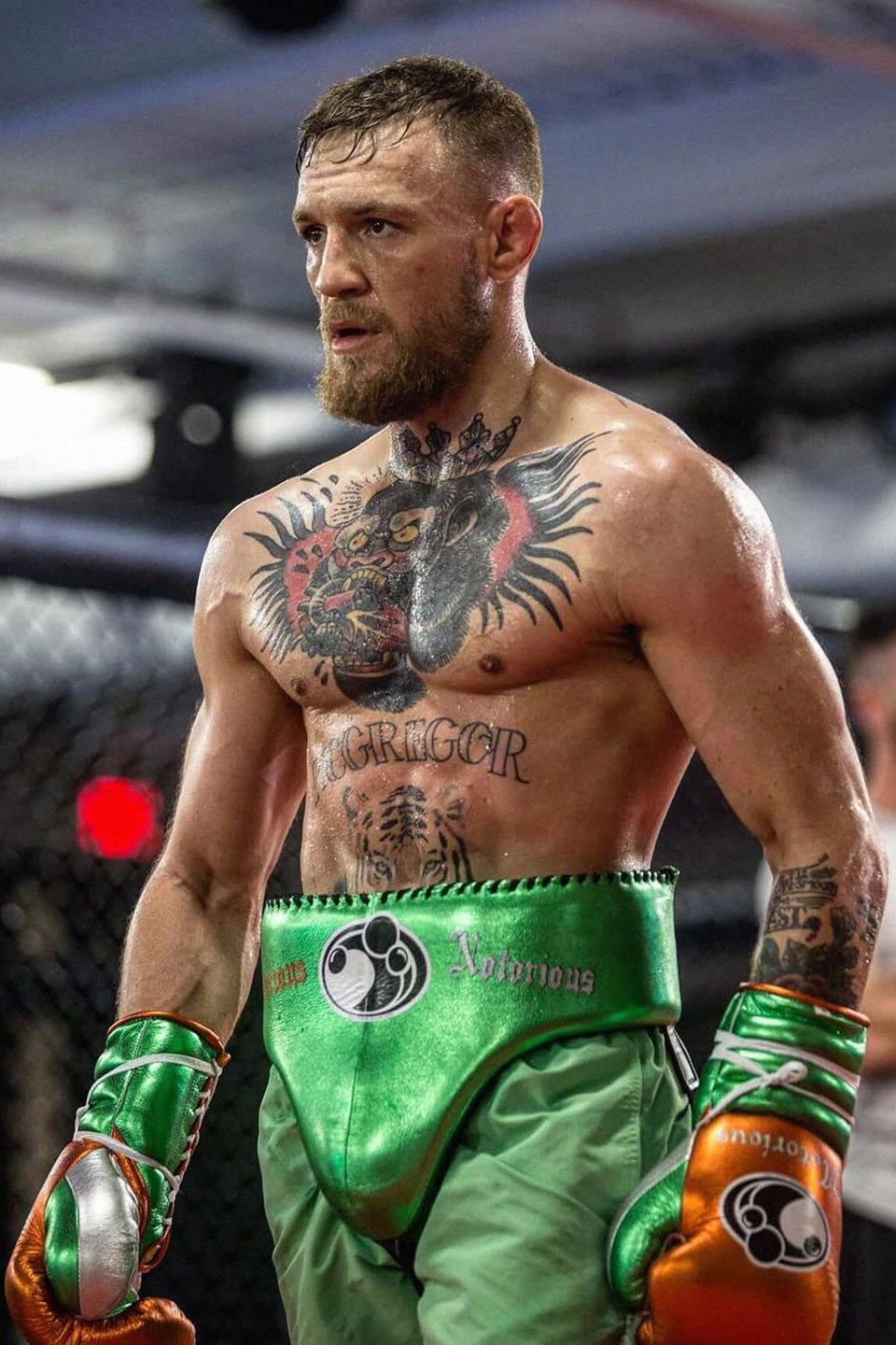 Background Conor Mcgregor Wallpaper