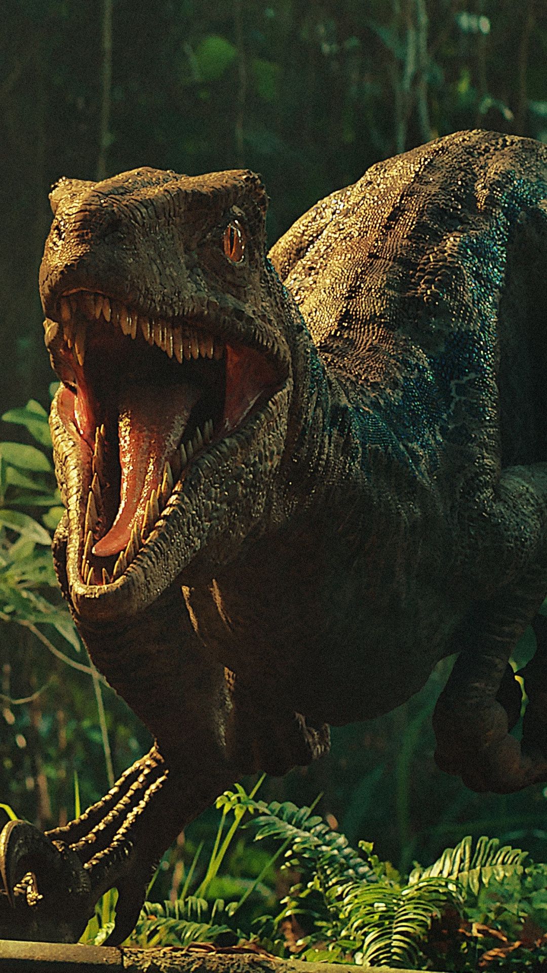 Background Dinosaur Wallpaper