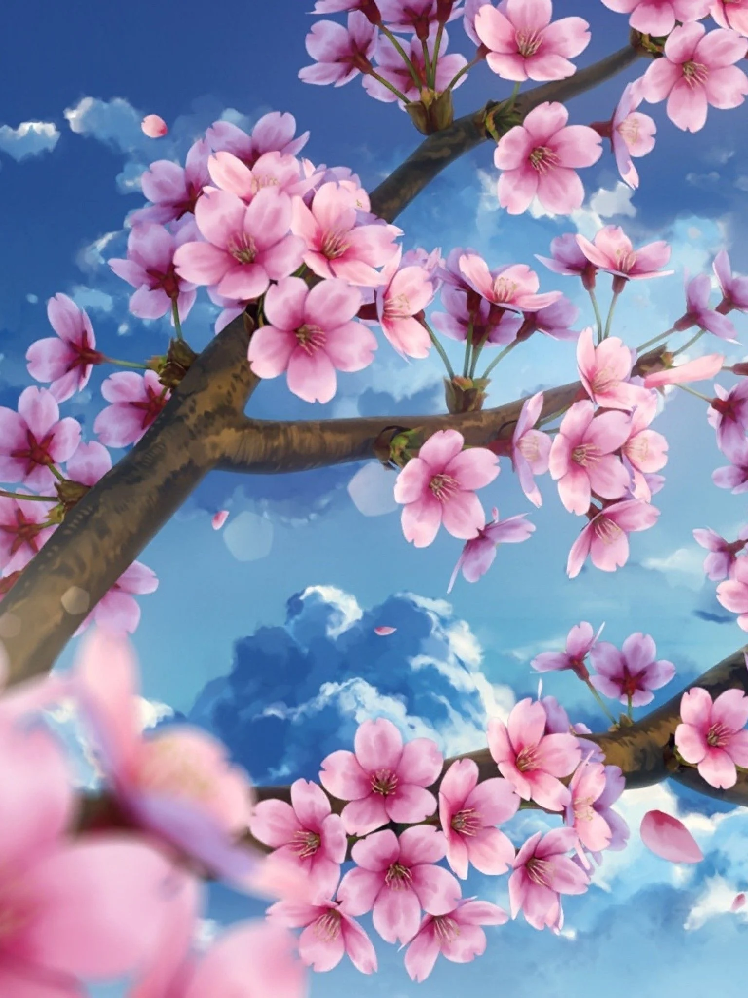 Background Cherry Blossom Wallpaper