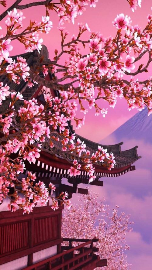 Background Cherry Blossom Wallpaper