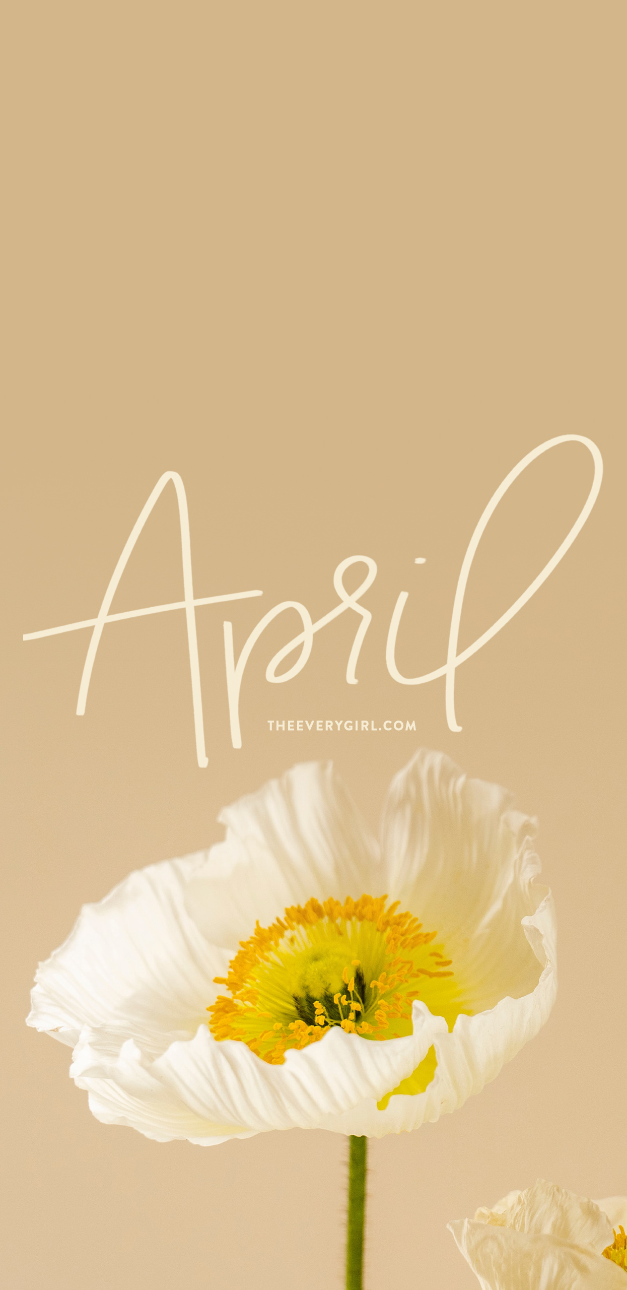 Background April Wallpaper