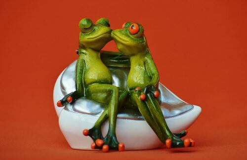 Cute Frog Desktop Wallpaper