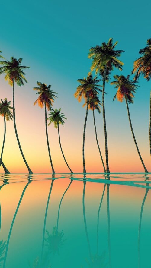 Background Palm Tree Wallpaper