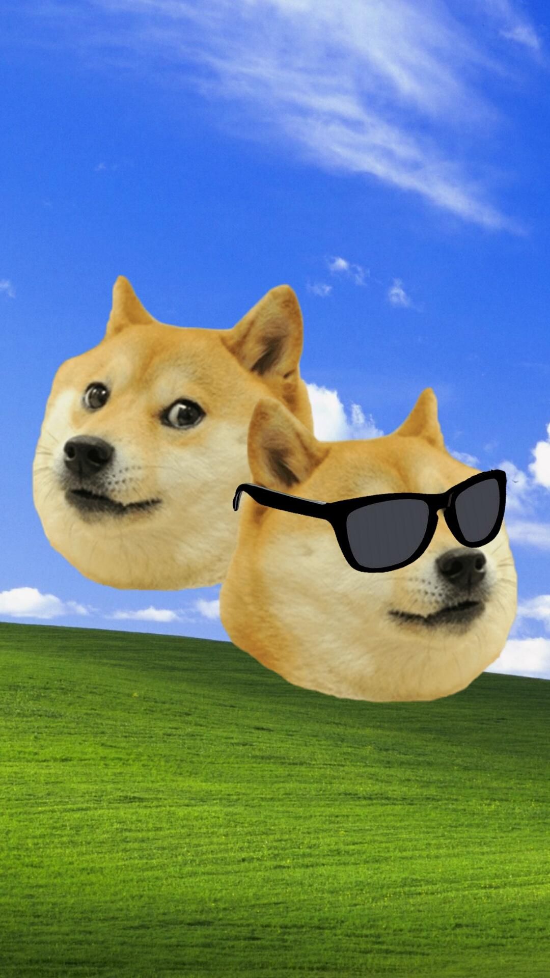 Background Doge Wallpaper