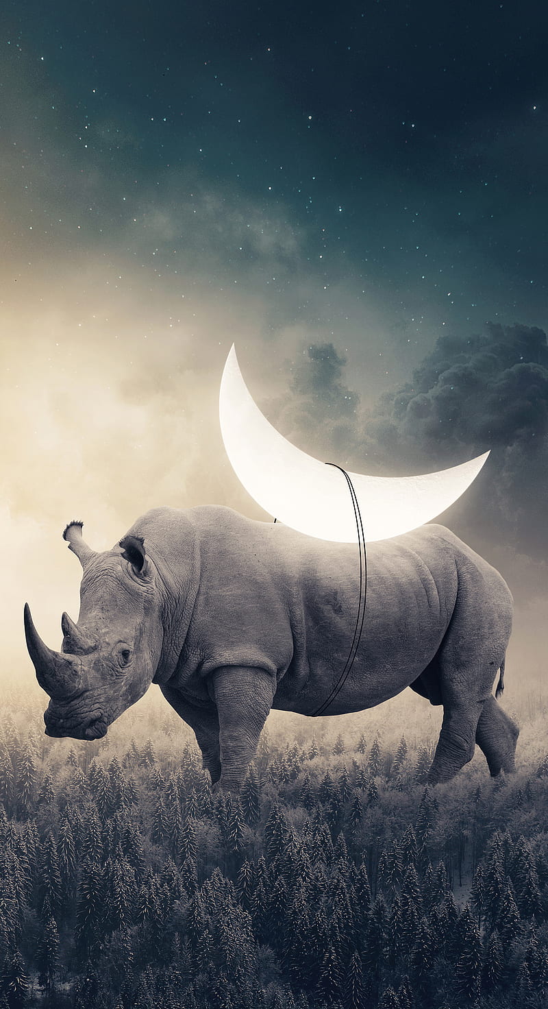 Background Rhino Wallpaper