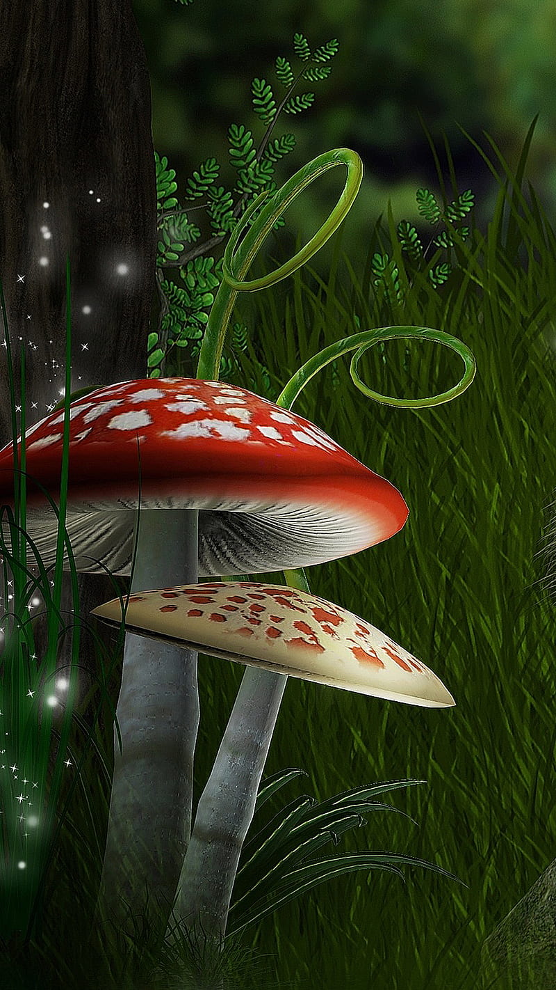 Background Mushroom Wallpaper