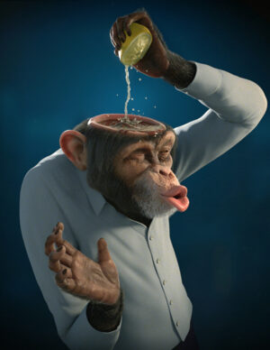 Background Monkey Wallpaper