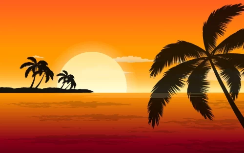 Palm Tree Desktop Wallpaper