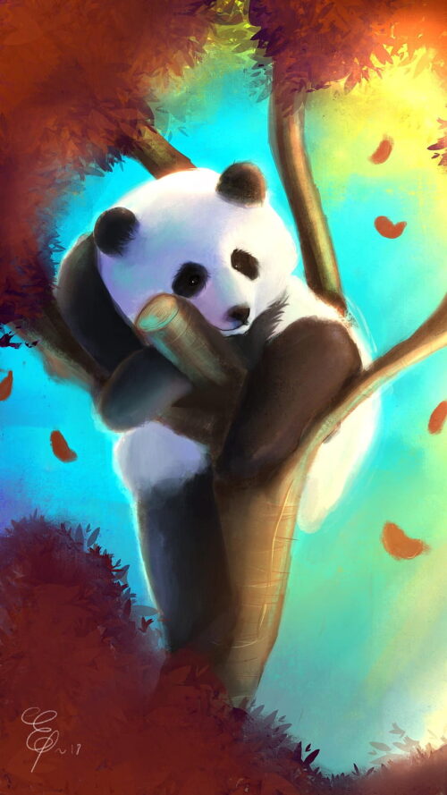 Background Panda Wallpaper