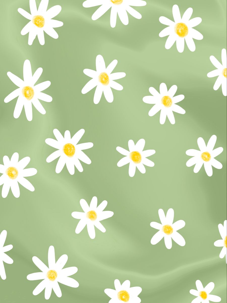 Daisy Wallpaper