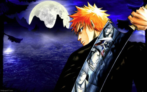 Bleach Desktop Wallpaper