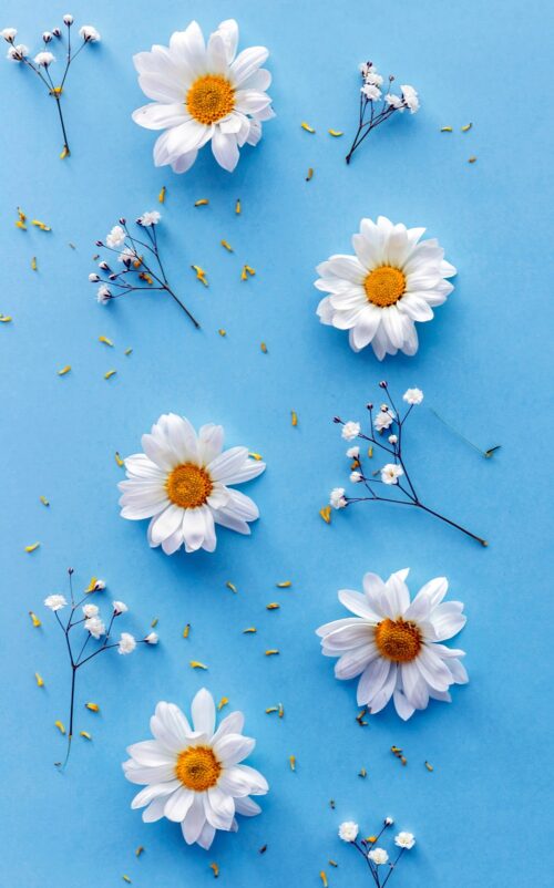 Background Flower Wallpaper