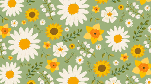 Daisy Wallpaper Desktop