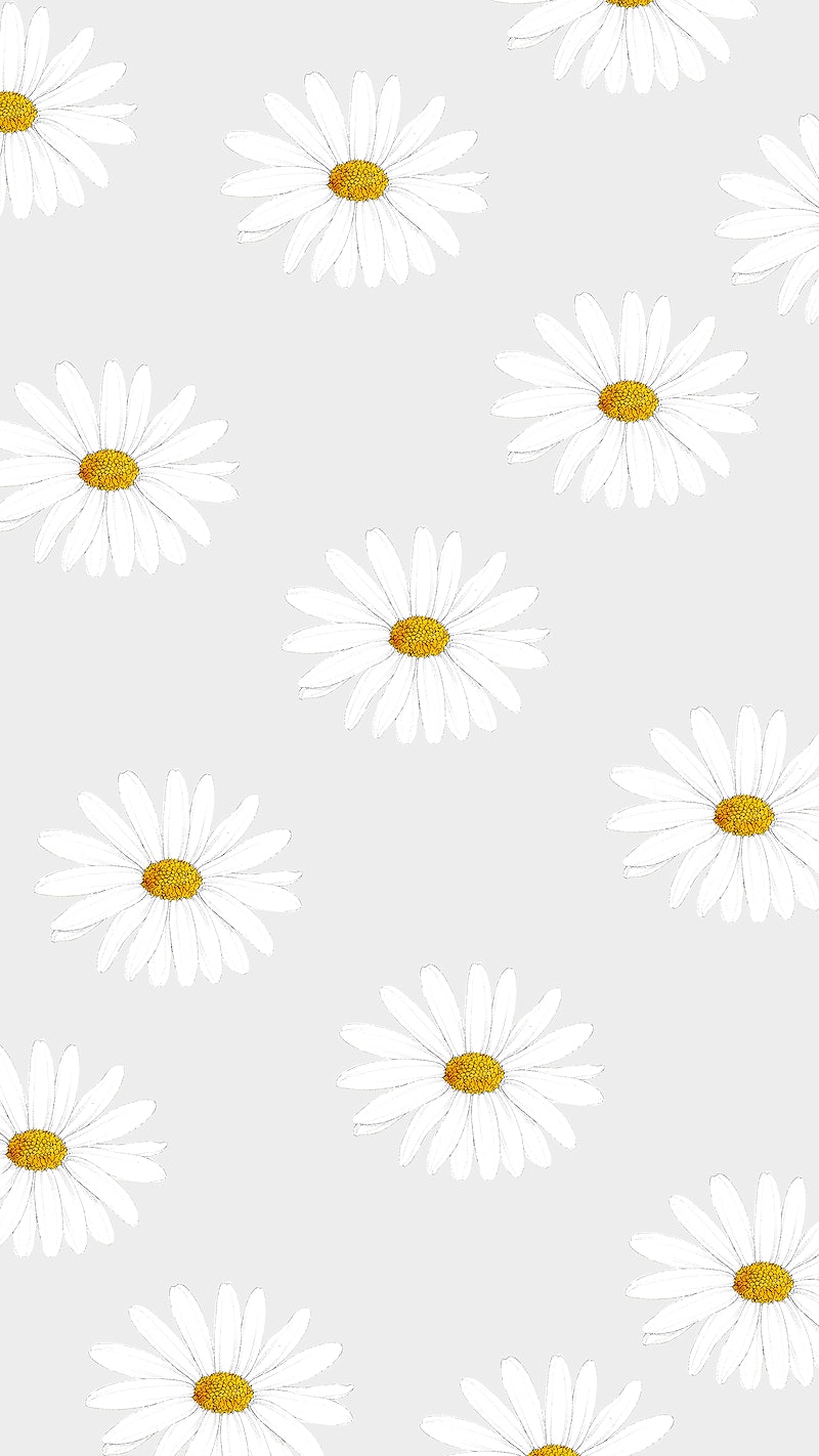 Daisy Wallpaper