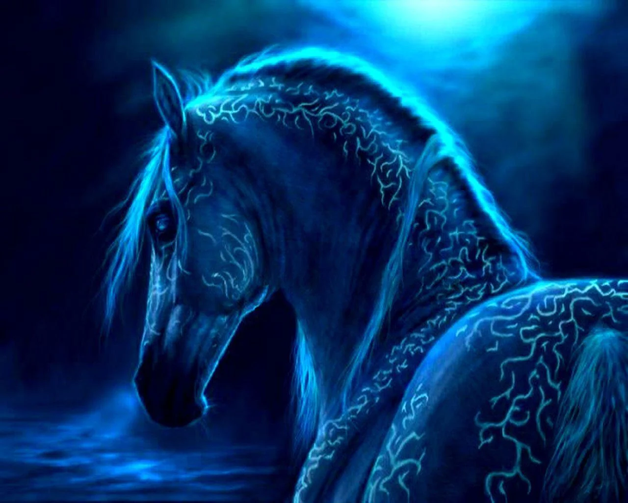 Horse Desktop Wallpaper