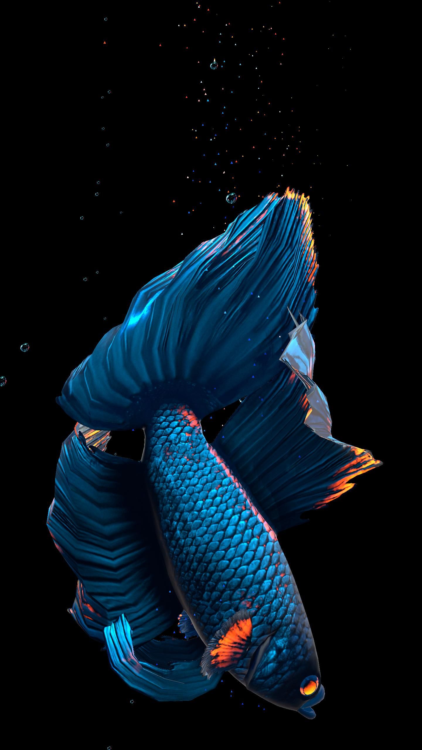 Background Fish Wallpaper