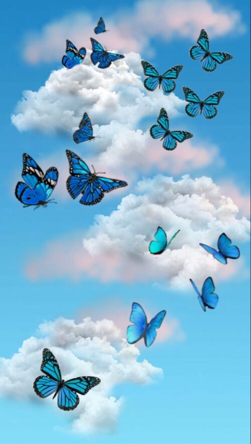 Background Butterfly Wallpaper