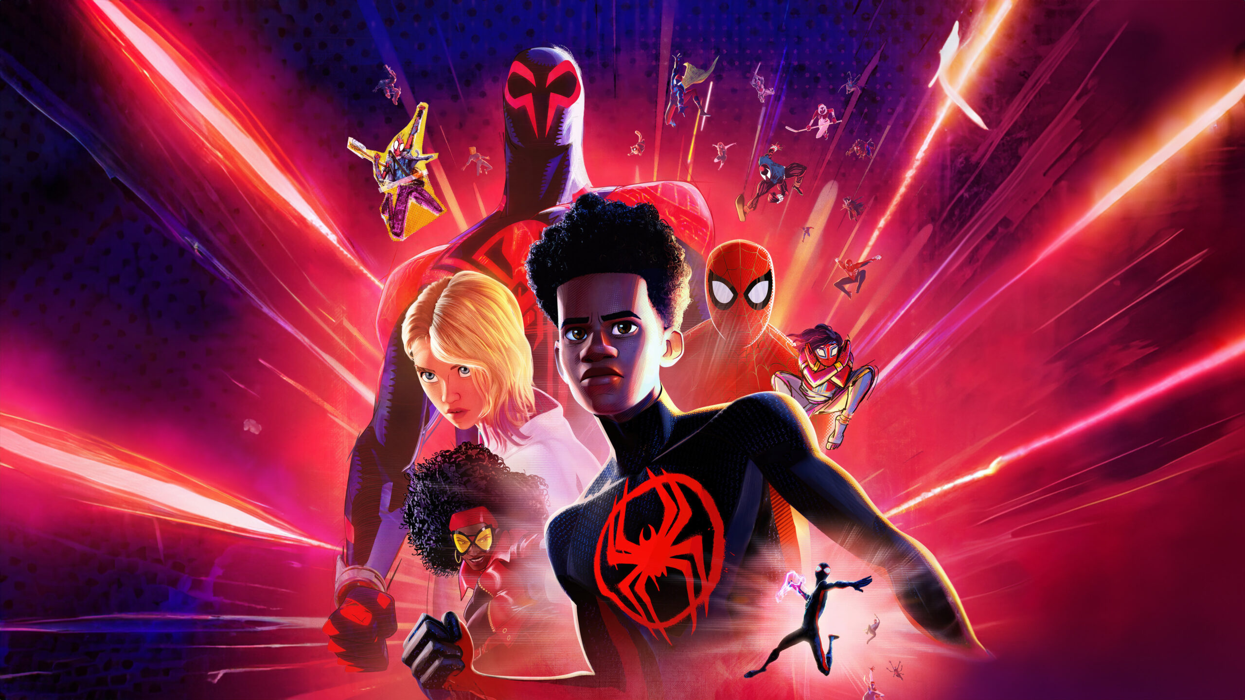 Spider Man Across The Spider Verse Wallpaper