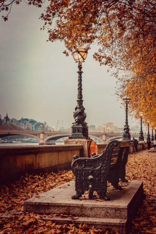 Background Fall Wallpaper