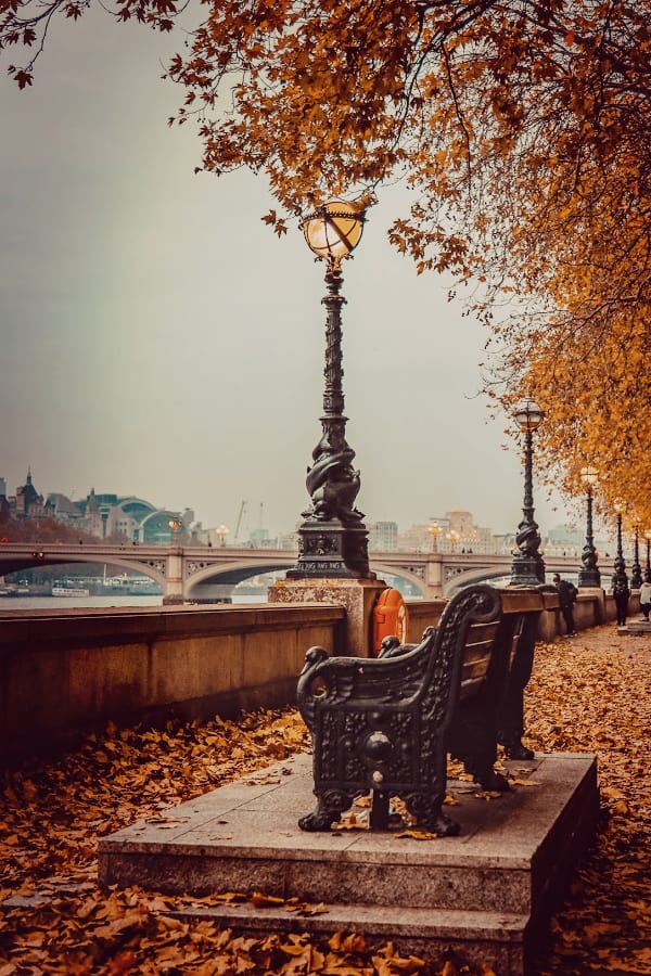 Background Fall Wallpaper