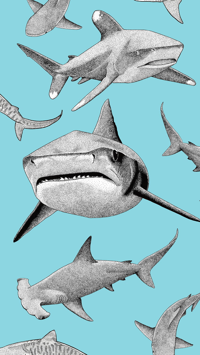 Background Shark Wallpaper