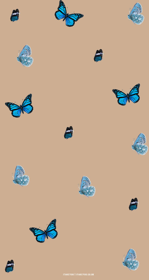 Cute Aesthetic Wallpapers